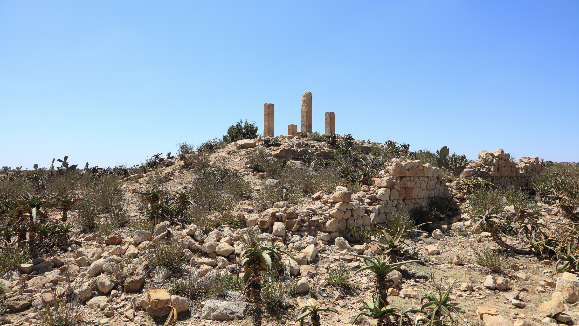 Quahaito - Eritrea