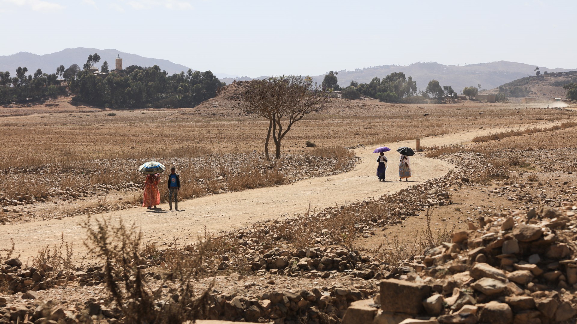 Metera - Eritrea