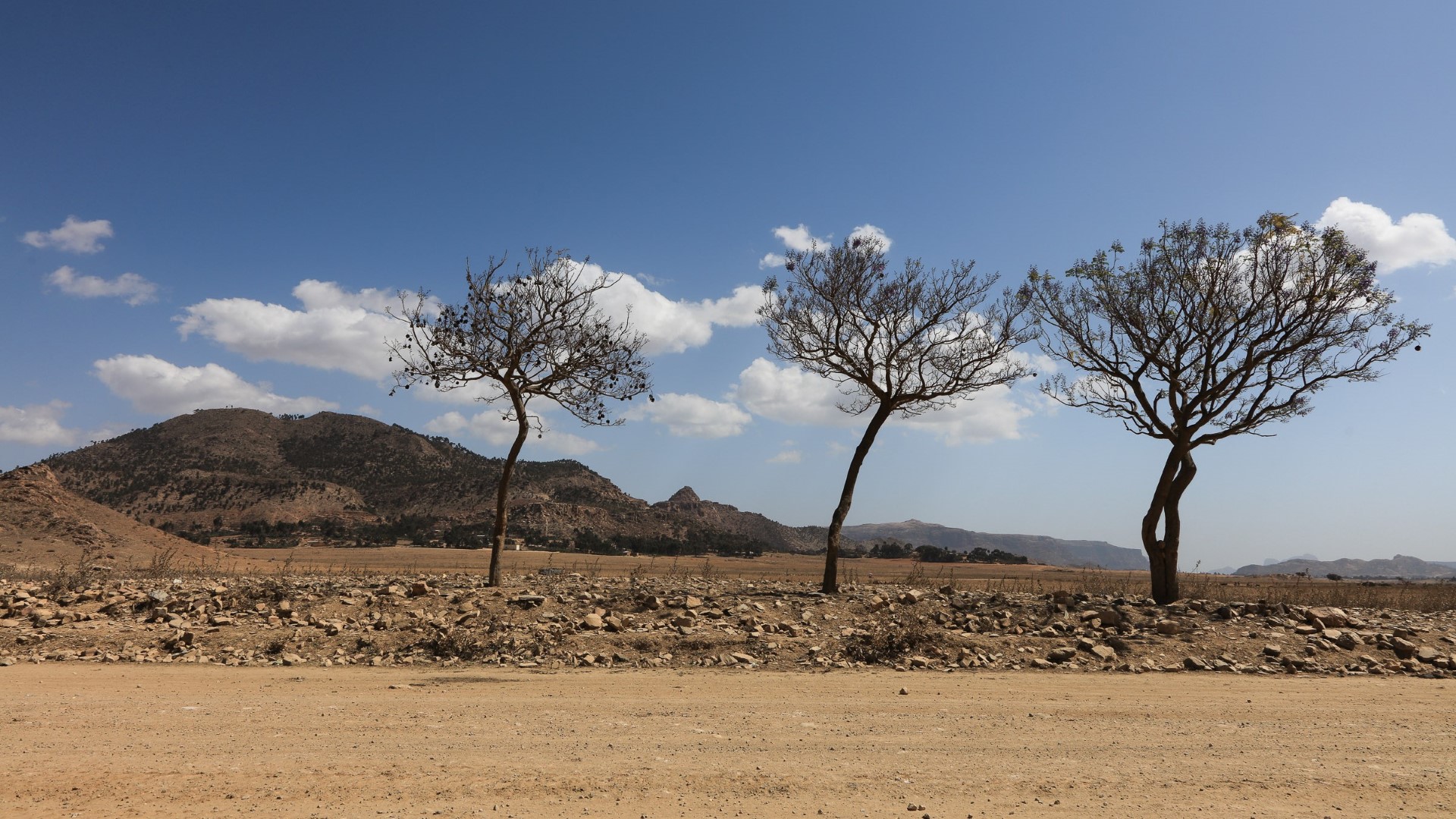 Metera - Eritrea