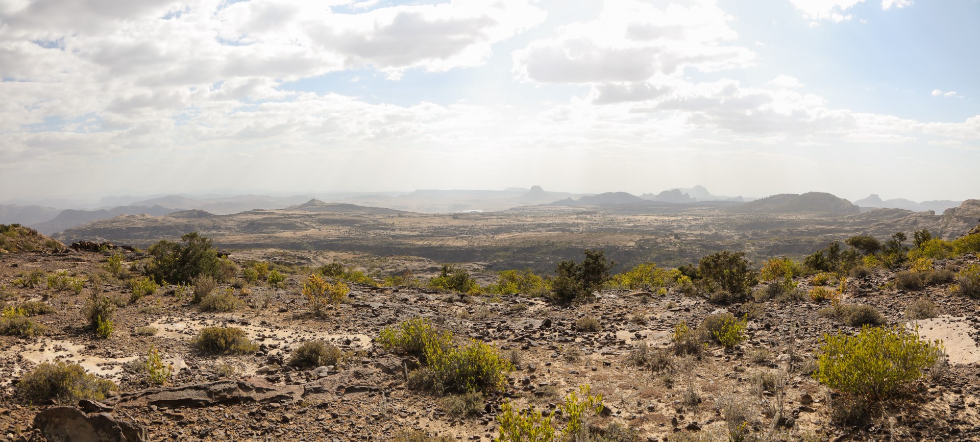 Eritrean Highlands