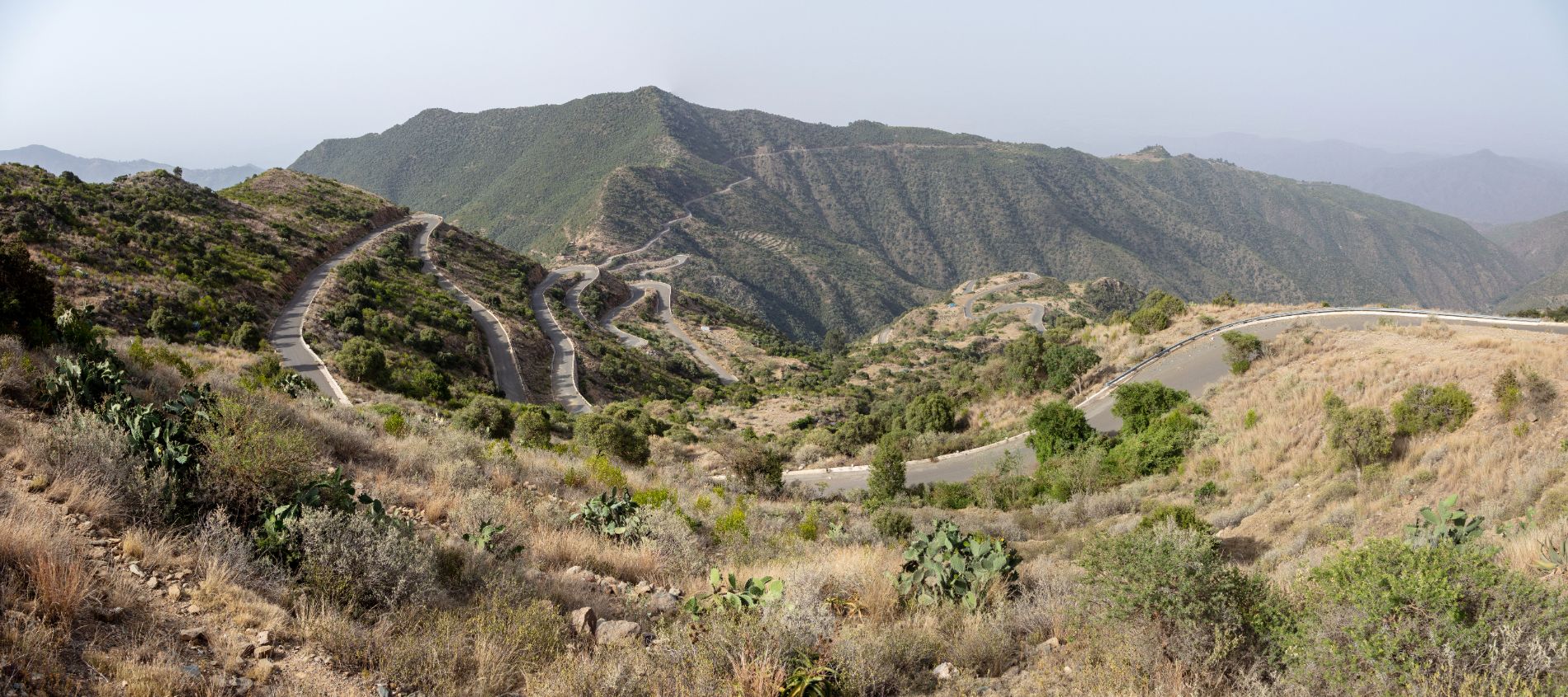 Fil-Fil - Eritrea