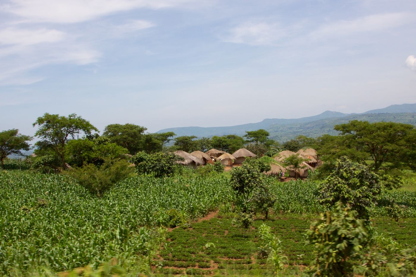 Agricultural settlements